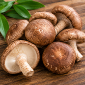 Shiitake Mushroom